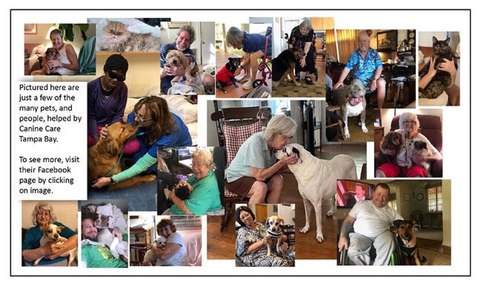 Canine Care donations
